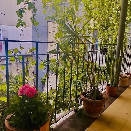 Innsevillaluxury Apartment Pilatos 外观 照片
